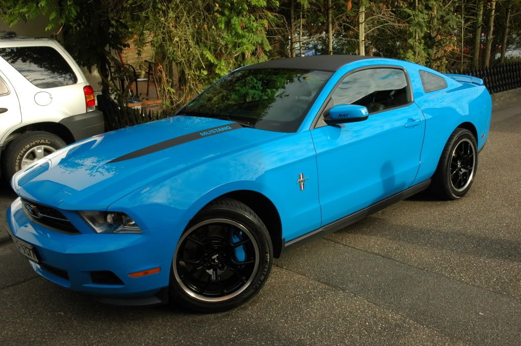 Brakes in blue........Grabber Blue Brembo calipers The Mustang Source Ford Mustang Forums